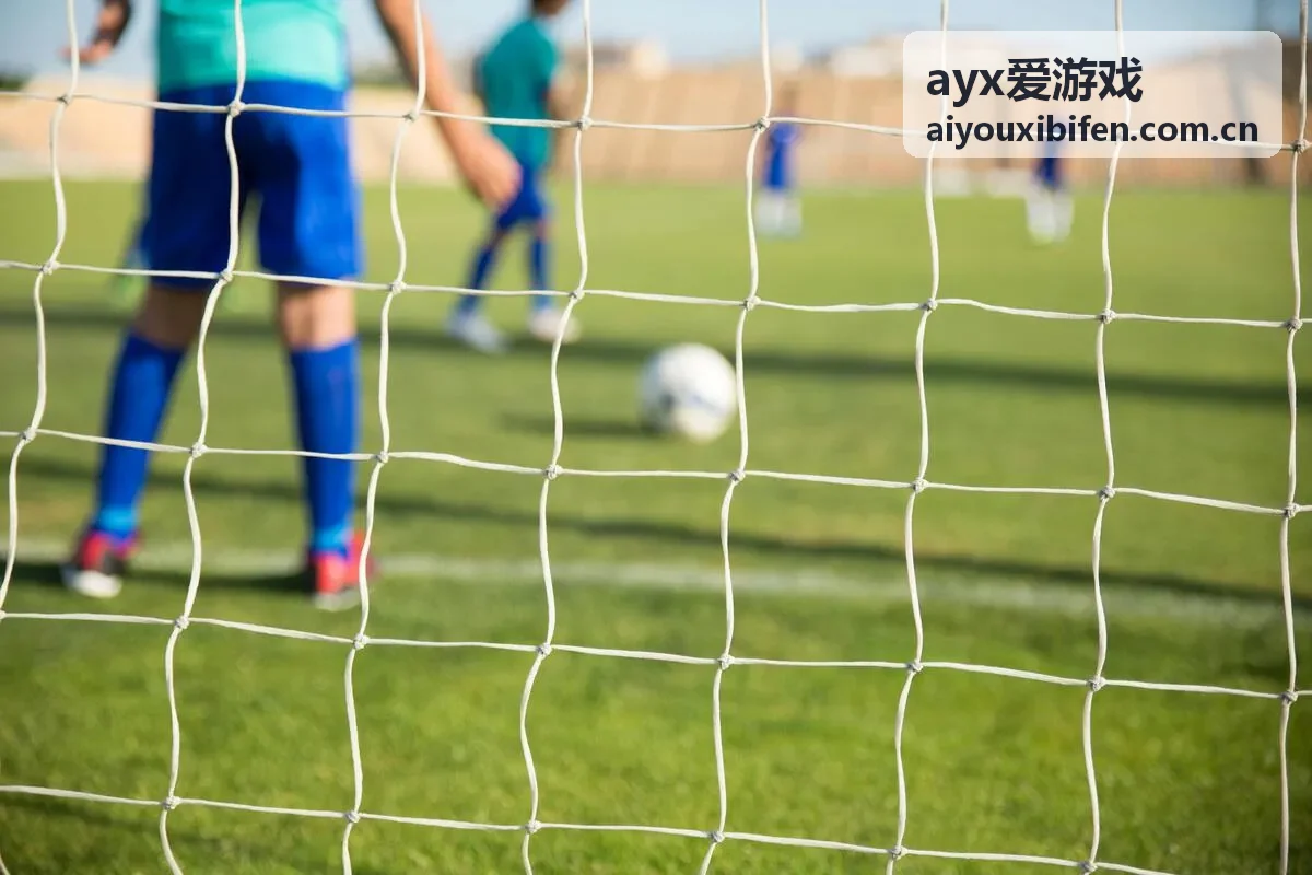 ayx爱游戏平台核心体验展示